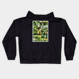 Bay Leaf Tree Blossom Kids Hoodie